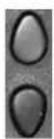 Argus 126 - Start-Up - 3