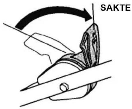 SAKTE