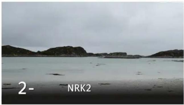 2- NRK2