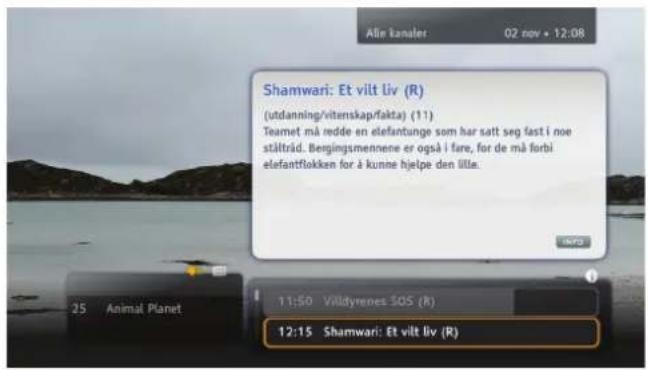 Alle kanaler 02 nov • 12:08 Shamwari: Et vilt liv (R) (utdanning/vitenskaprfakta) (11) Teamet må redde en elefantunge som har satt seg fast i noe stältråd. Bergingsmennene er også i fare, for de må forbi elefantflokken for å kunne hjelpe den llla. 11:50 Villdyrenes SOS (R) 12:15 Shamwari: Et vilt liv (R)