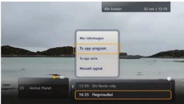 Alle kanaler: 02 nov • 12:10 Mer informasjon Ta opp program Ta opp serie Manuelt opptak 25 Animal Planet 15:30 Din første valp 16:25 Pingvinsafari