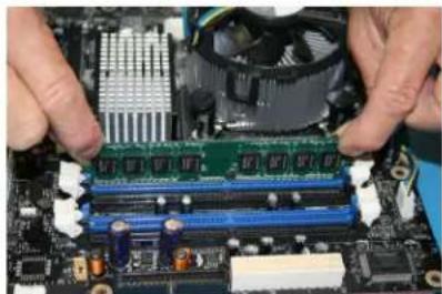 Centon 1GBS/D2-667 - LOCATE MEMORY BAYS (cont.) - 1
