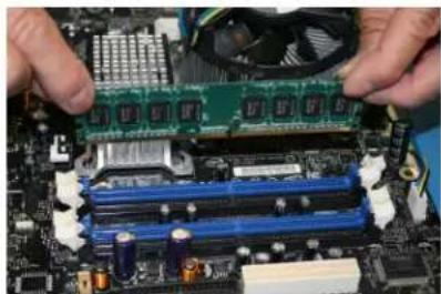 Centon 1GBS/D2-667 - GENERAL INFO - 1