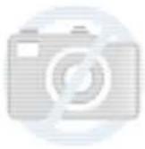 Wago 2006-931 - 1