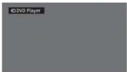 DVD Player