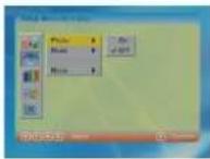 SALORA DPF-7003MR - Auto-play - 2