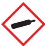 Panduit PCT-1081-B - Pictogram labels comply with the Globally Harmonized System. - 5