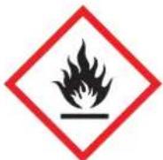 Panduit PCT-1081-B - Pictogram labels comply with the Globally Harmonized System. - 1