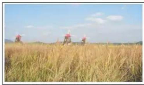 TOPFIELD TBC-2010 - Television aspect ratio - 1
