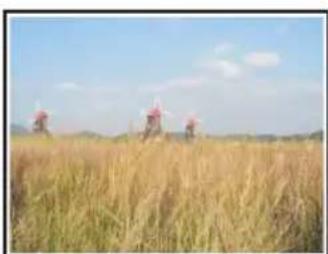 TOPFIELD TBC-2010 - Television aspect ratio - 5