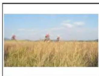 TOPFIELD TBC-2010 - Television aspect ratio - 4