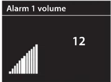 Sandstrøm SL-IBTC18 - Setting the Alarm - 12