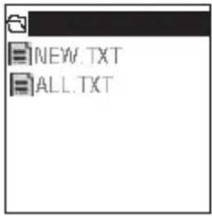Logik L2GMP409 - E-BOOK Viewing - 2