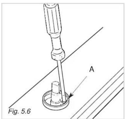 Fig. 5.6 A