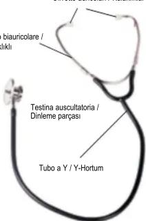 biauricolare / Ikihi Testina auscultatoria / Dinleme parçası Tubo a Y / Y-Hortum
