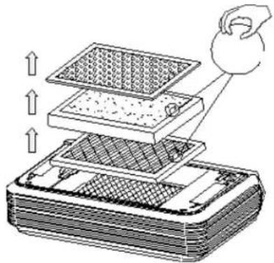 Whynter PAF-101 - FILTER &amp; SCENT MAINTENANCE - 2