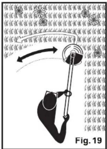 Fig. 19