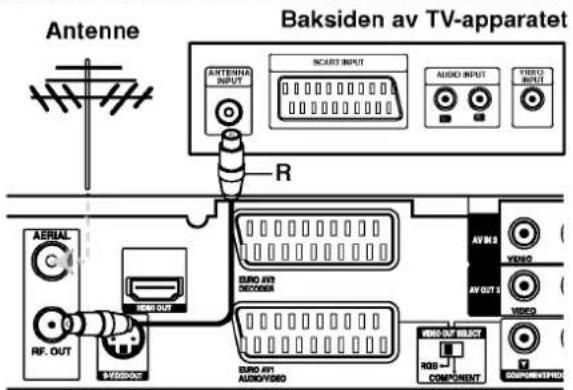 Antenne Baksiden av TV-apparatet ANTENNA INPUT SCART INPUT AUDIO INPUT VIDEO INPUT R AERIAL C RF. OUT AV OUT 1 AV OUT 2 AV OUT 3 AV OUT 4 AV OUT 5 AV OUT 6 AV OUT 7 AV OUT 8 AV OUT 9 AV OUT 10 AV OUT 11 AV OUT 12 AV OUT 13 AV OUT 14 AV OUT 15 AV OUT 16 AV OUT 17 AV OUT 18 AV OUT 19 AV OUT 20 AV OUT 21 AV OUT 22 AV OUT 23 AV OUT 24 AV OUT 25 AV OUT 26 AV OUT 27 AV OUT 28 AV OUT 29 AV OUT 30 AV OUT 31 AV OUT 32 AV OUT 33 AV OUT 34 AV OUT 35 AV OUT 36 AV OUT 37 AV OUT 38 AV OUT 39 AV OUT 40 AV OUT 41 AV OUT 42 AV OUT 43 AV OUT 44 AV OUT 45 AV OUT 46 AV OUT 47 AV OUT 48 AV OUT 49 AV OUT 50 AV OUT 51 AV OUT 52 AV OUT 53 AV OUT 54 AV OUT 55 AV OUT 56 AV OUT 57 AV OUT 58 AV OUT 59 AV OUT 60 AV OUT 61 AV OUT 62 AV OUT 63 AV OUT 64 AV OUT 65 AV OUT 66 AV OUT 67 AV OUT 68 AV OUT 69 AV OUT 70 AV OUT 71 AV OUT 72 AV OUT 73 AV OUT 74 AV OUT 75 AV OUT 76 AV OUT 77 AV OUT 78 AV OUT 79 AV OUT 80 AV OUT 81 AV OUT 82 AV OUT 83 AV OUT 84 AV OUT 85 AV OUT 86 AV OUT 87 AV OUT 88 AV OUT 89 AV OUT 90 AV OUT 91 AV OUT 92 AV OUT 93 AV OUT 94 AV OUT 95 AV OUT 96 AV OUT 97 AV OUT 98 AV OUT 99 AV OUT 100