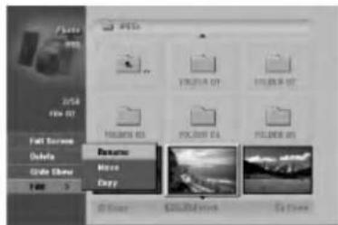 File 2014 File 07 Fall Survey Delete Create Change Share Copy Browse Move Copy C:\Users\Software\Sales\Options\Help