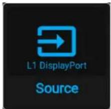 L1 DisplayPort Source