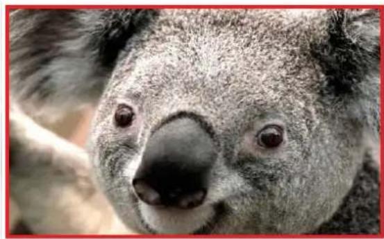 Barco M4K15 - The effect of Digital Zoom - 2