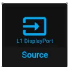 L1 DisplayPort Source