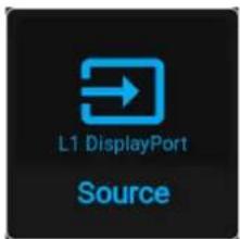 L1 DisplayPort Source