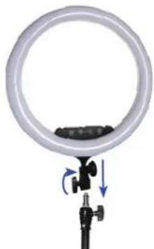 Savage Ring Light Beauty Video Kit - 4