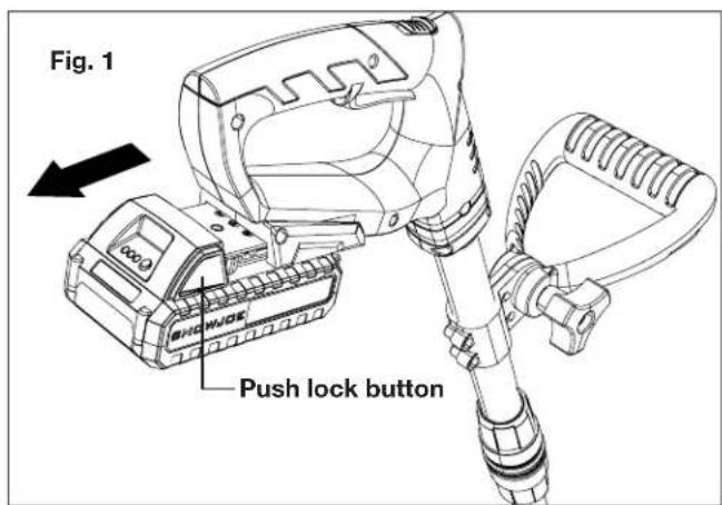 Fig. 1 Push lock button