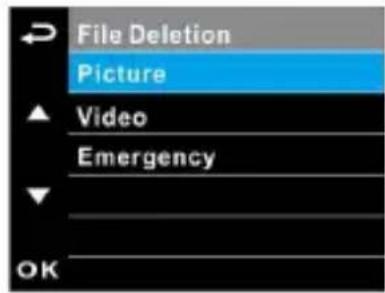 File Deletion Picture Video Emergency OK