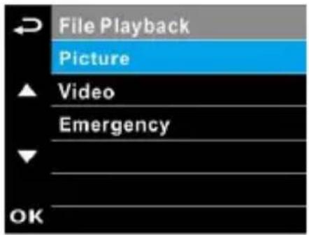 File Playback Picture Video Emergency OK