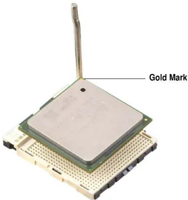 Gold Mark