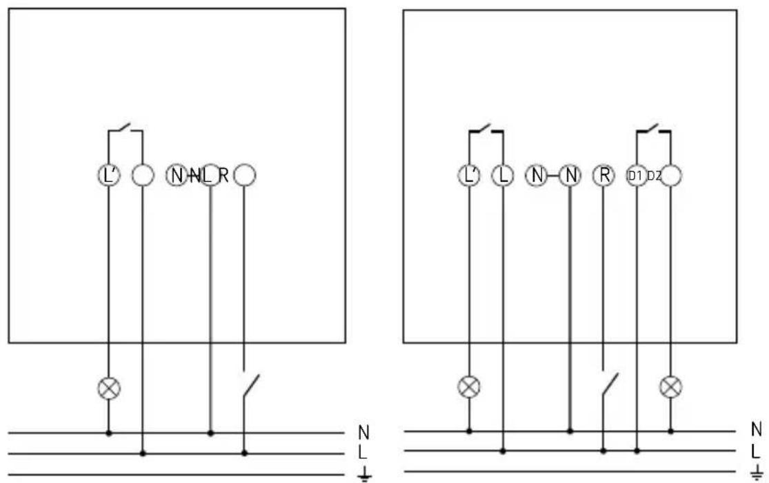 L' N-N-L R N L ↓ L' L N-N R D1 D2 N L ↑