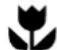 BeefEater BMF7645SA - IMPORTANT - 1