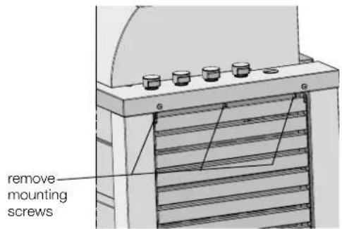 remove mounting screws