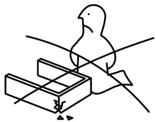 Simple line drawing of a bird perched on a box with a triangular ruler, no text or symbols present
