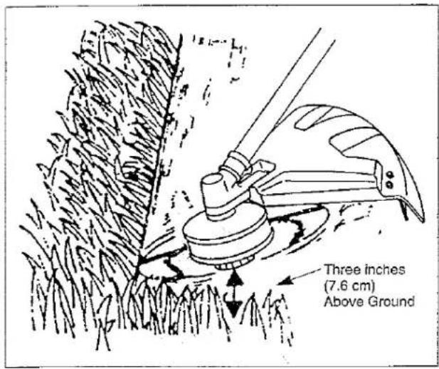Three inches (7.6 cm) Above Ground