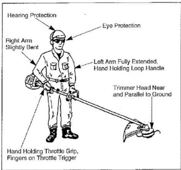 Hearing Protection Right Arm Slightly Bent Eye Protection Left Arm Fully Extended, Hand Holding Loop Handle Trimmer Head Near and Parallel to Ground Hand Holding Throttle Grip, Fingers on Throttle Trigger