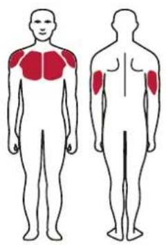 TAURUS Iso Incline - Exercise Instructions - 2