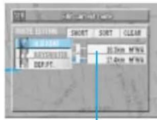 SHEET 2017 SHORT SORT CLEAR M1.2345 RAXXXXXXXX DEP.PT. 31.3mm M/WG 31.4mm M/WG