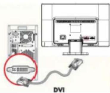HP LV2311 - Kople til VGA-kabelen (analog) eller DVI-D-kabelen (digital) - 2