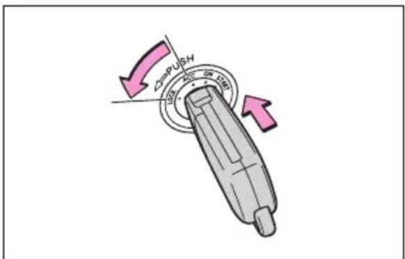 COPUSH 100 25 100