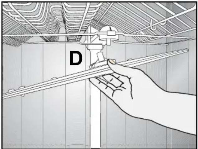 D