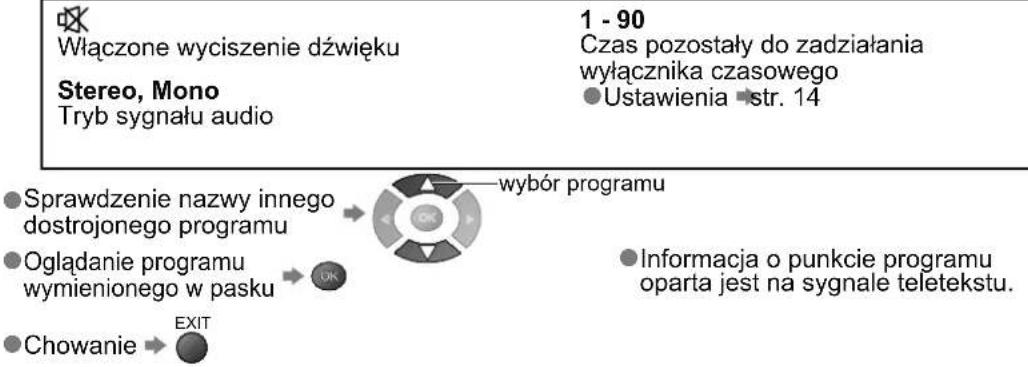PANASONIC TX-L32C10P - Oglądanie programu telewizyjnego - 2