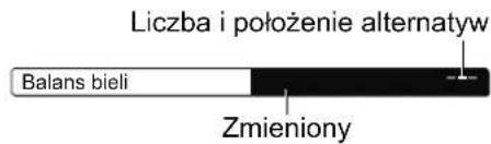 Liczba i położenie alternatyw Balans bieli Zmieniony