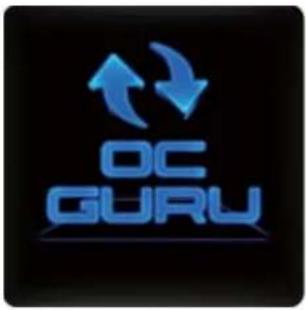 GIGABYTE GV-N55256D - Update OC GURU - 1