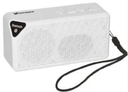 Vakoss SP-B1824RD - SP-B1824 Przenośny głośnik Bluetooth Instrukcja obsługi - 1