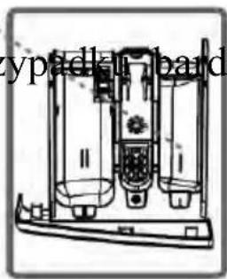 typadl band