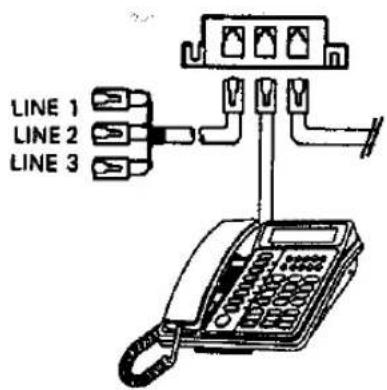 LINE 1 LINE 2 LINE 3
