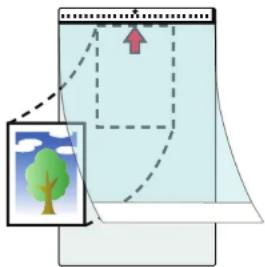 Diagram illustrating a tree planting process with labeled components and directional arrows